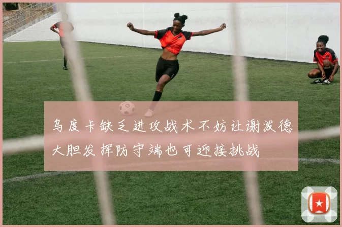 乌度卡缺乏进攻战术不妨让谢泼德大胆发挥防守端也可迎接挑战